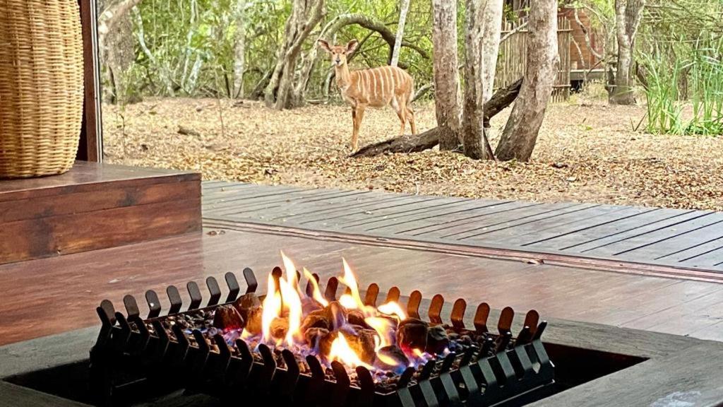 Hideaways Lazuli Bush Lodge, Hluhluwe Extérieur photo