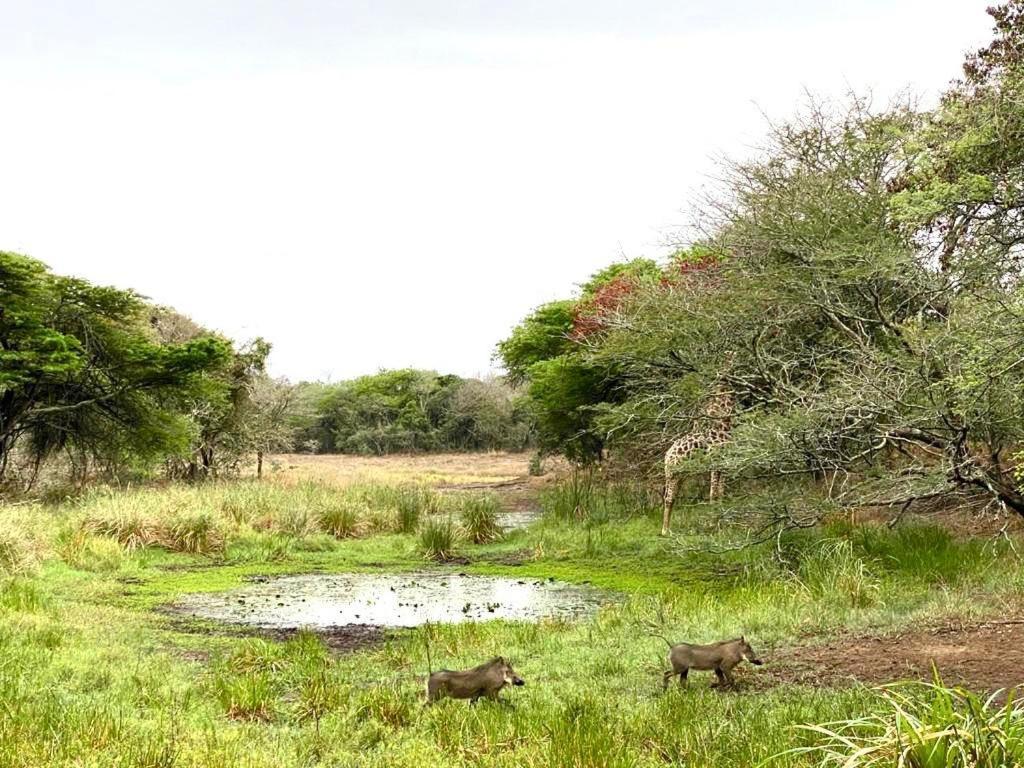 Hideaways Lazuli Bush Lodge, Hluhluwe Extérieur photo